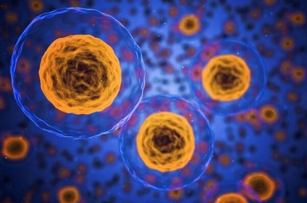 Bagaimana proses penurunan berat badan terjadi