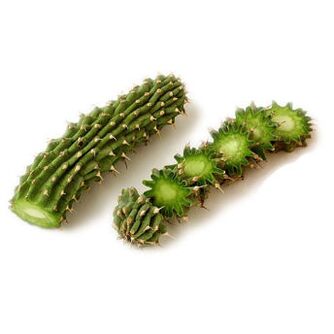 hoodia gordonia - komposisi Reduslim